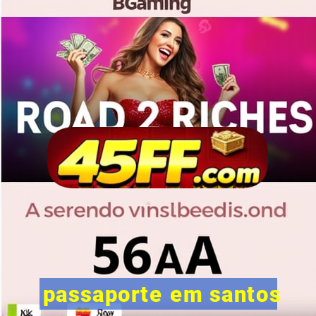passaporte em santos